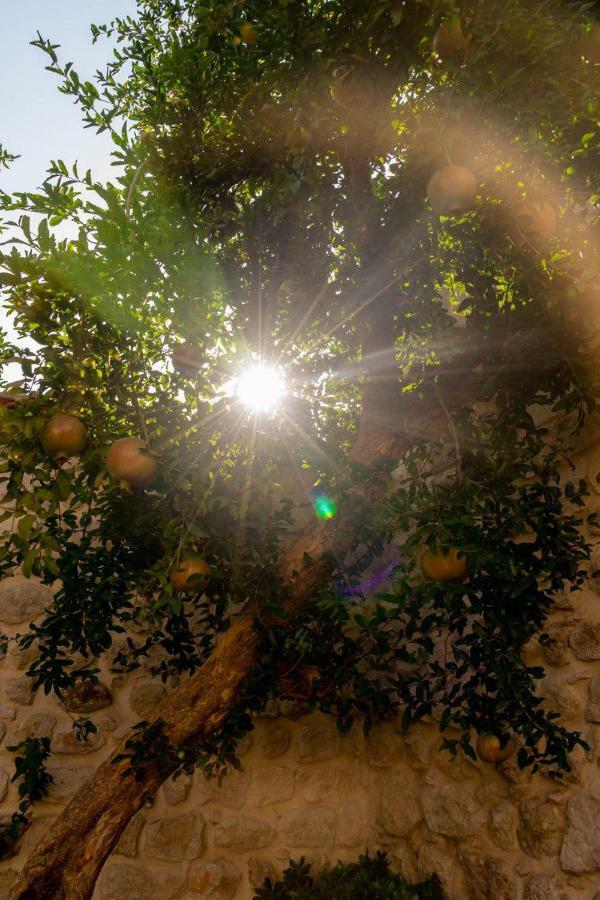Yesil Ev Cafe & Boutique Hotel HATAY Esterno foto